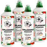 Dipladenia meststof - Minerale NPK vloeibare meststof met stikstof - Meststof voor Dipladenia (Mandevilla) - Balkon- & klimplantenmeststof - Silberkraft