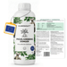 Ficus ginseng-meststof - Silberkraft
