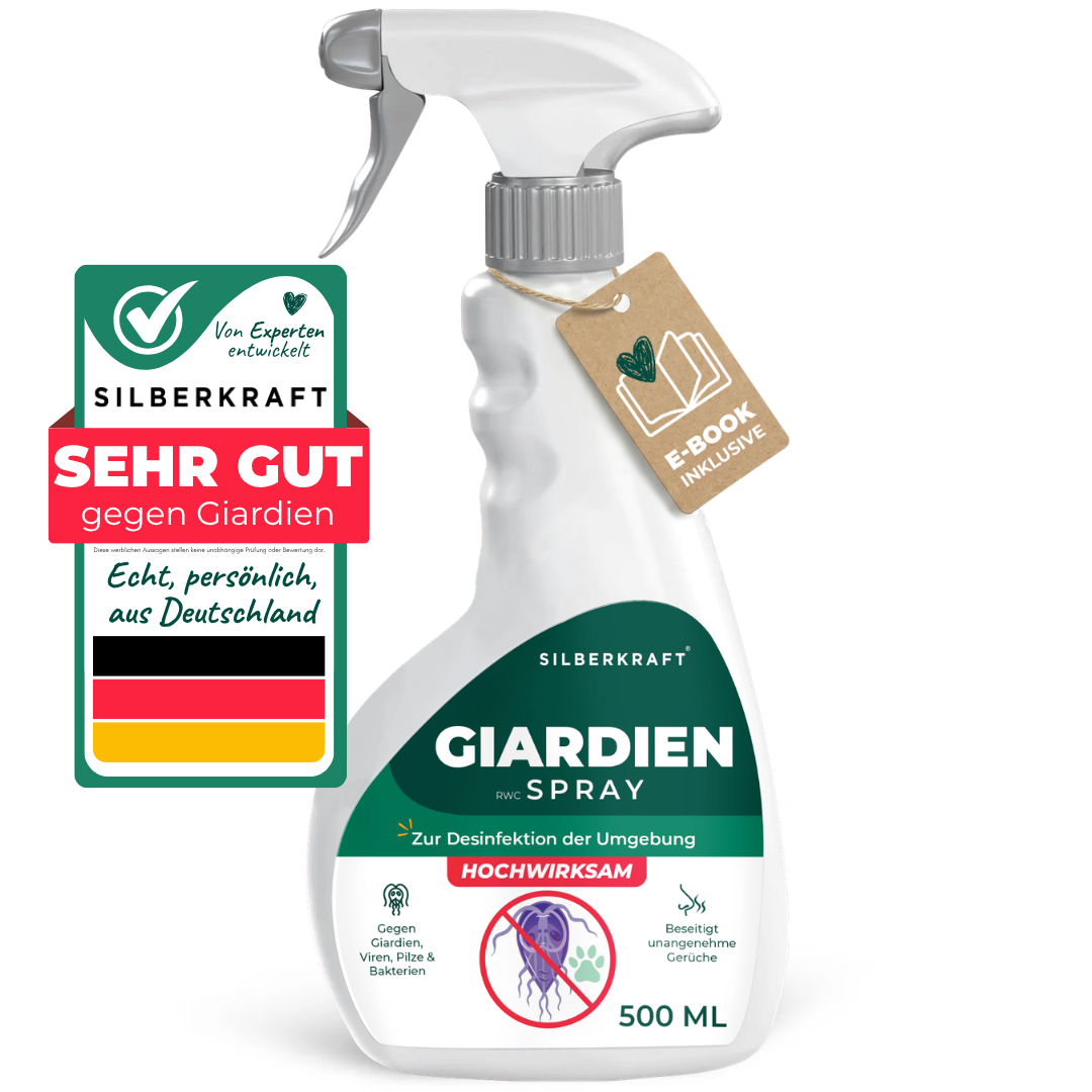 Giardia