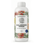 Kalanchoe-Dünger - Silberkraft