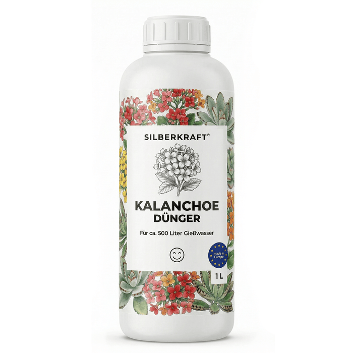 Kalanchoe-Dünger - Silberkraft