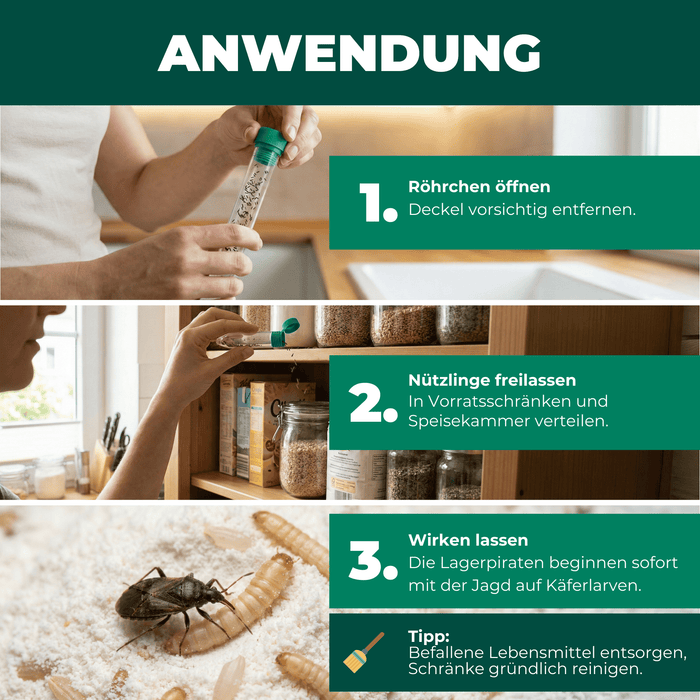 Silberkraft Lagerpiraten gegen Reismehlkäfer Produktbilder