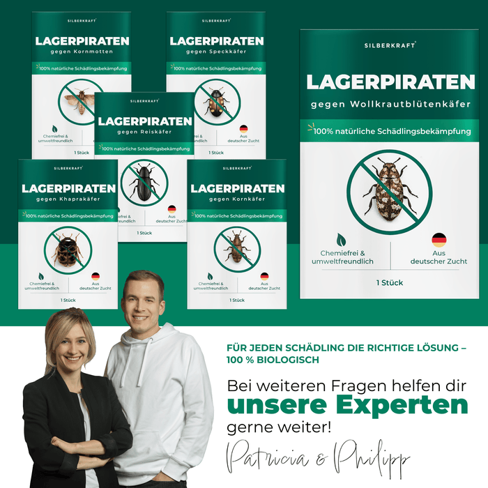 Silberkraft Lagerpiraten gegen Wollkrautbltenkfer Produkt Bilder