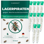 Silberkraft pilspiraten tegen wollige onkruidkevers - natuurlijke nuttige insecten ter bestrijding van wollige onkruidkevers in het huishouden, vrij van chemicaliën, uit Duitse kweek, 10 x 30 pilspiraten per tube