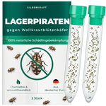 Silberkraft pilspiraten tegen wollige onkruidkevers - natuurlijke nuttige insecten ter bestrijding van wollige onkruidkevers in het huishouden, vrij van chemicaliën, uit Duitse kweek, 2x 30 pilspiraten per tube