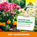 Neudorff Azet bloemenmeststof - Silberkraft
