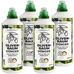 Olijfboommeststof - Minerale NPK vloeibare meststof met stikstof - Meststof voor olijfbomen - Mediterrane potplantenmest - Silberkraft