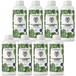 Philodendron-Dünger - Silberkraft