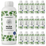 Pilea-meststof - Silberkraft
