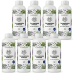 Tillandsia-meststof - Silberkraft