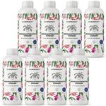 Kerstcactusmeststof - Silberkraft