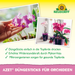 Neudorff Azet kunstmeststicks voor orchideeën - Silberkraft