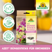 Neudorff Azet kunstmeststicks voor orchideeën - Silberkraft