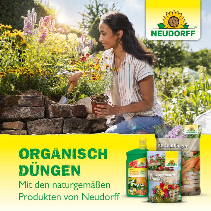 Neudorff Azet kunstmeststicks voor orchideeën - Silberkraft
