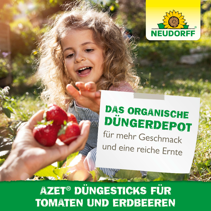 Neudorff Azet kunstmeststicks voor tomaten en aardbeien - Silberkraft