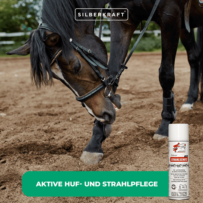 Strahlschutz Spray für robuste Pferdehufen - Silberkraft