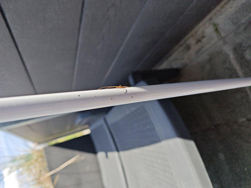 Extensor spin — Bild 1