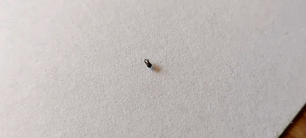 Een enkele kleine helmkruidkever rust op een wit, gestructureerd papieren oppervlak.