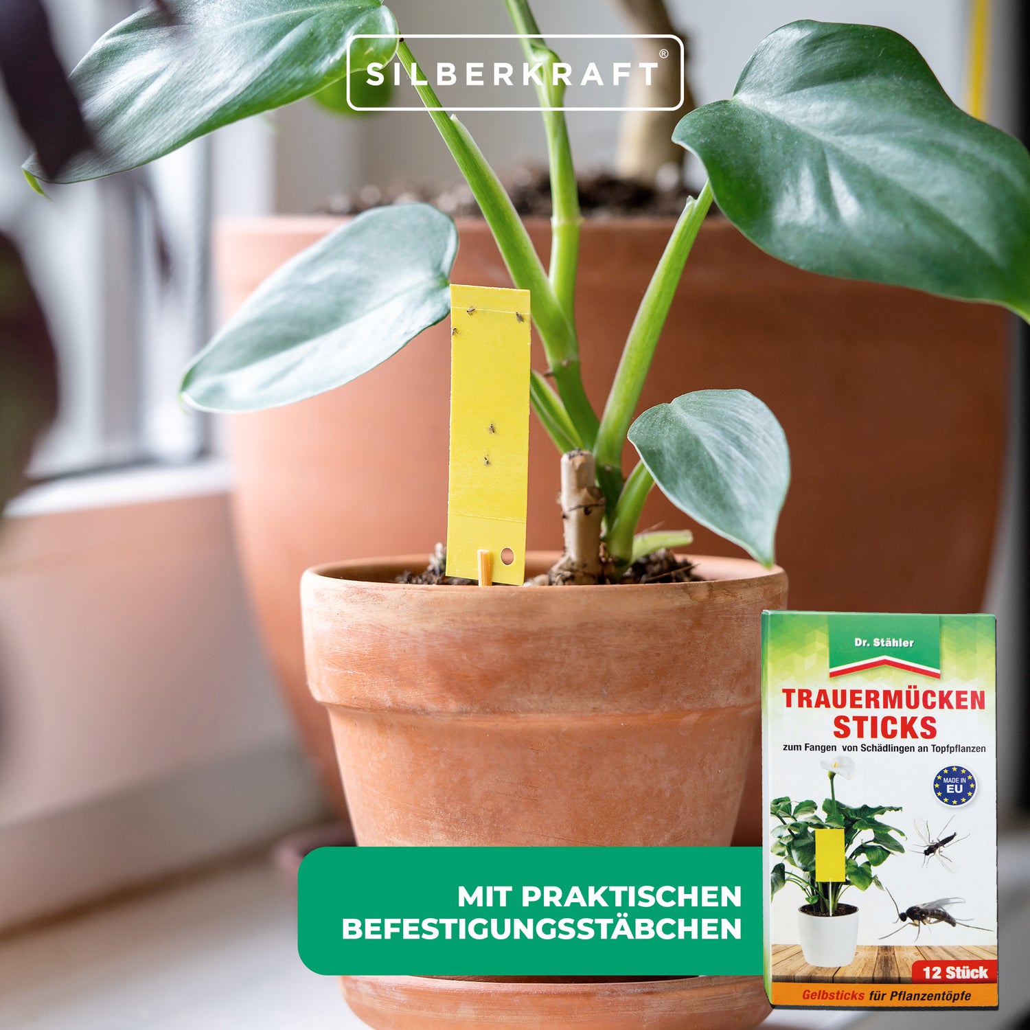 Trauermücken-Sticks: Effektive Bekämpfung von Weiße Fliegen, Trauermücken, Obst- und Essigfliegen, Thripsen und Zikaden - Silberkraft