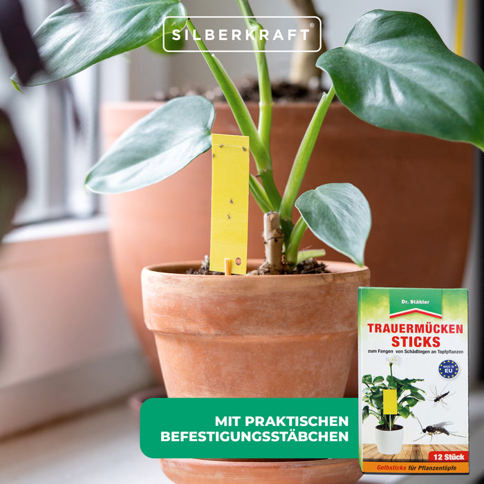 Trauermücken-Sticks: Effektive Bekämpfung von Weiße Fliegen, Trauermücken, Obst- und Essigfliegen, Thripsen und Zikaden - Silberkraft