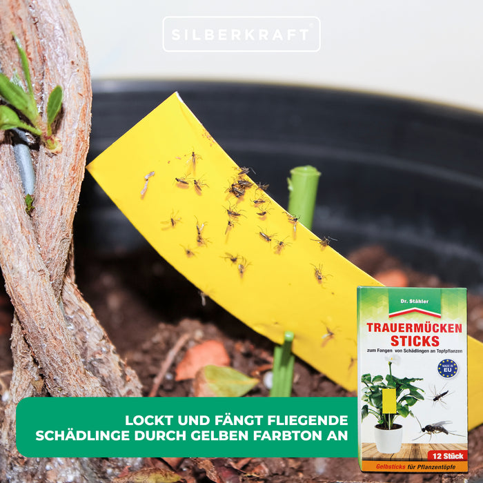 Trauermücken-Sticks: Effektive Bekämpfung von Weiße Fliegen, Trauermücken, Obst- und Essigfliegen, Thripsen und Zikaden - Silberkraft