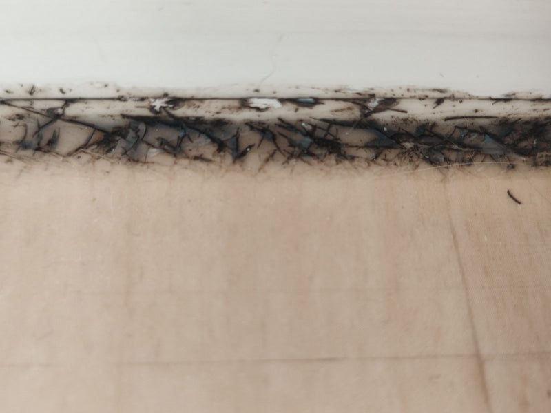De afbeelding toont zwarte schimmel, vermoedelijk Aspergillus niger, die langs een voeg groeit.