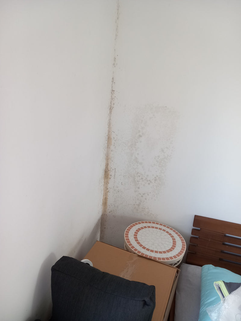 Donkere schimmelgroei is zichtbaar in de hoek van een witte kamerwand. Dit toont groeiende schimmel.