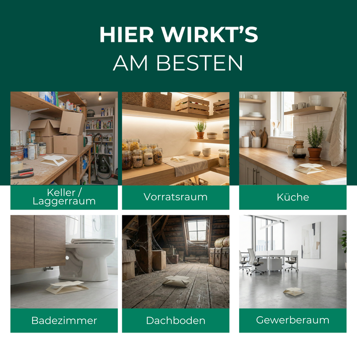Kakerlakenfalle im Einsatz in Keller, Vorratsraum, Küche, Badezimmer, Dachboden und Gewerberaum