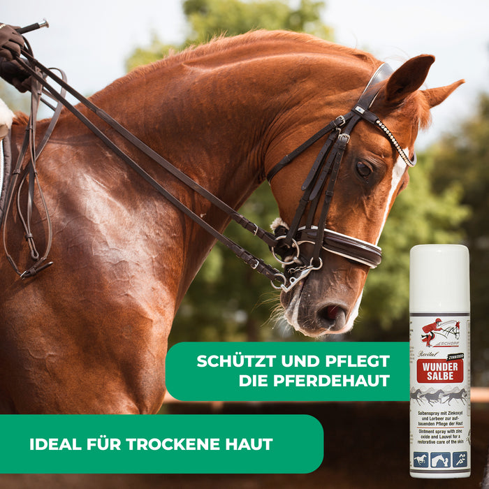 Salbenspray zum Schutz und zur Pflege von Pferdehaut - Silberkraft