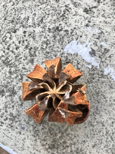 Balsem appel — Bild 1