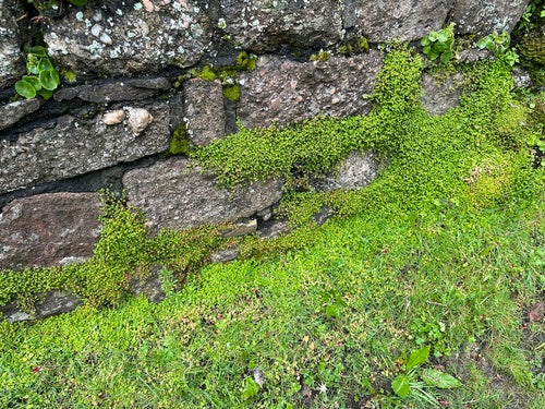 kortgeknipt haar — Bild 3