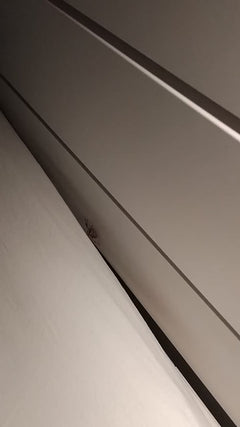 Nosferatu-spin – Innsbruck, Österreich