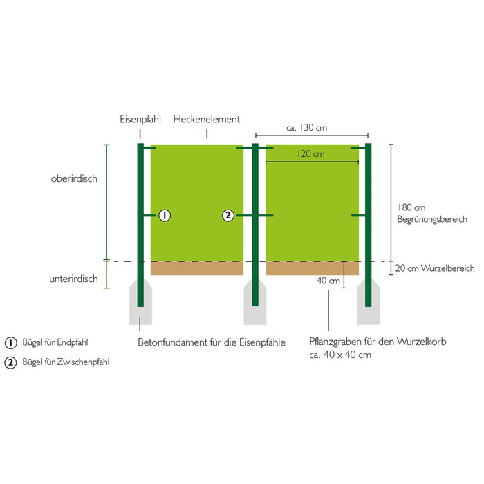 Montageschets: haagelementen van 120 cm breed tussen palen op ongeveer 1,30 m afstand, wortelgedeelte van 20 cm in een sleuf van 40 × 40 cm