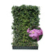 Kant-en-klare haag: klimop met clematis – Clematis roze