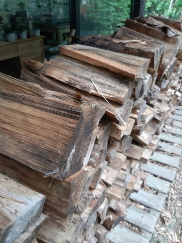 Gele sparrenwesp — Bild 1