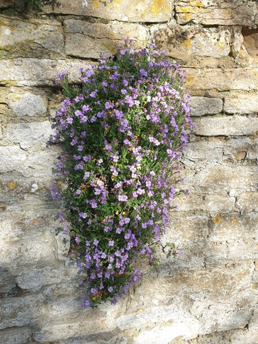 Gewoon blauw kussen — foto 3 van 10