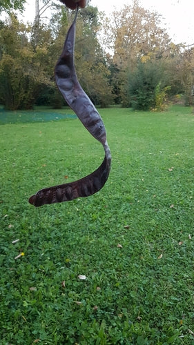 Gouden schuifregelaar — Bild 5