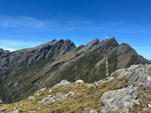 binnenlandse geit — Bild 4