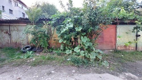 Pompoen — foto 5 van 12