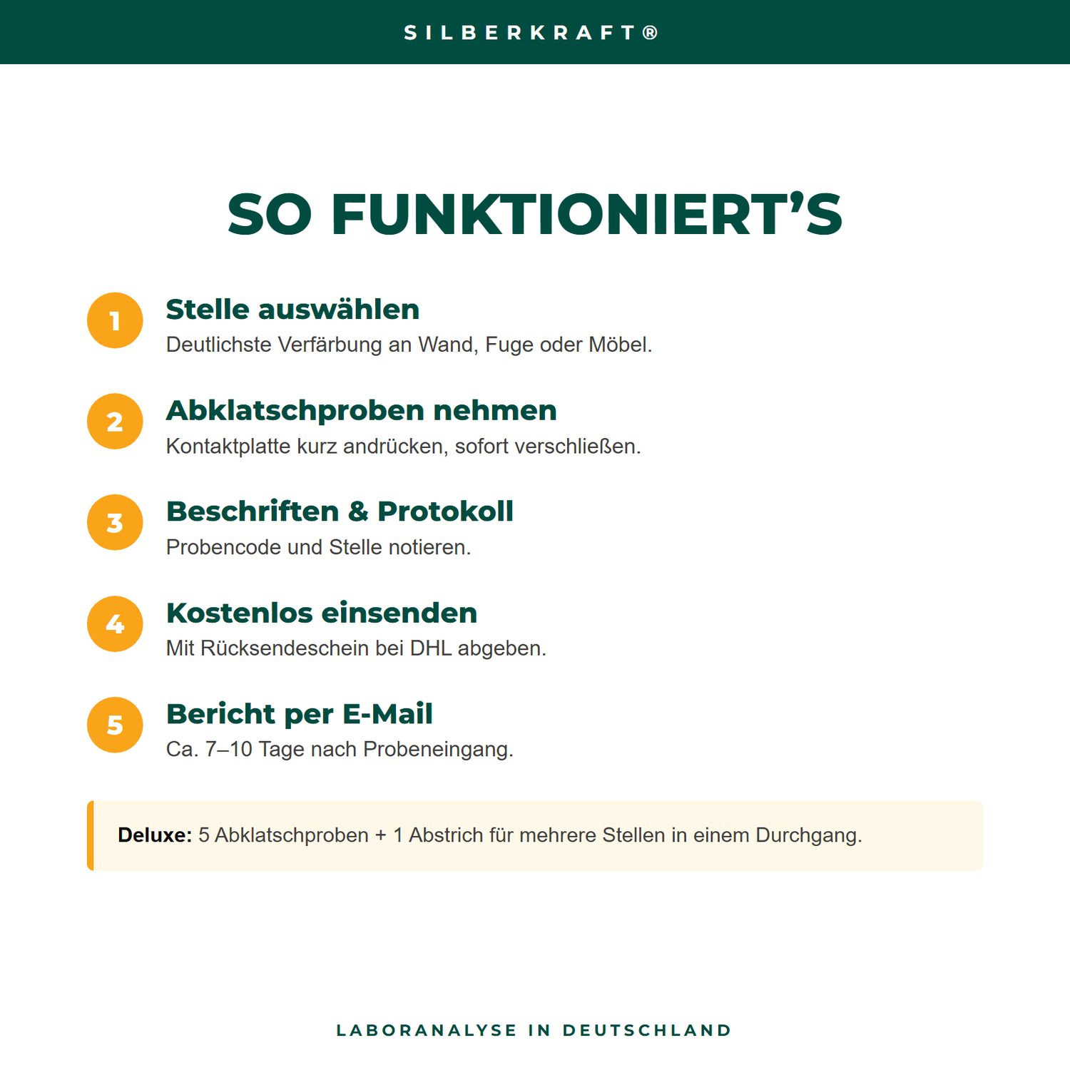 Schimmeltest Oberfläche – Ablauf der Probenahme in 5 Schritten