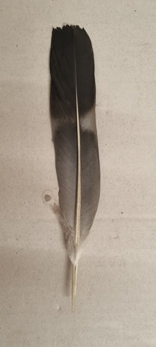 Houten duif — Bild 5