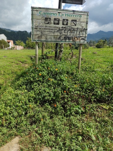 Susan met zwarte ogen — Bild 2