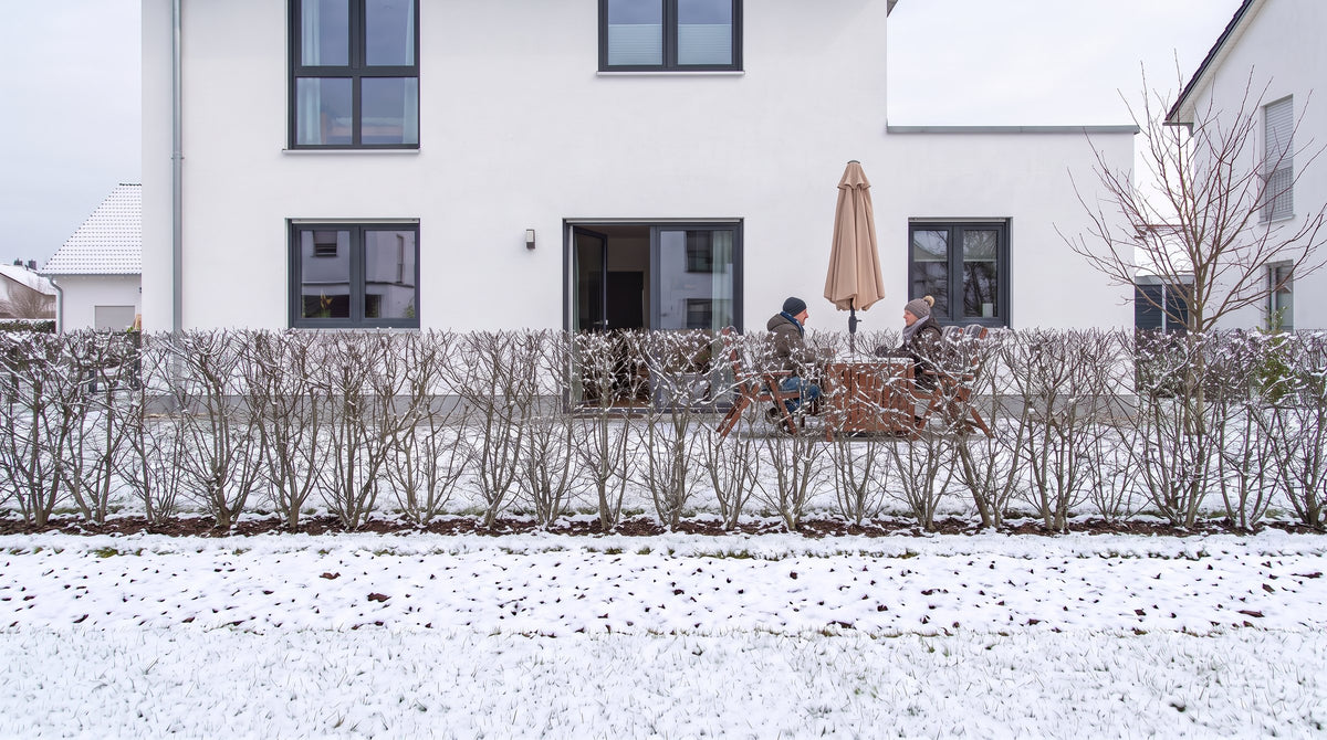 Veldesdoorn als haag van 1,80 m (Winter) voor het terras van de buren – AI-visualisatie
