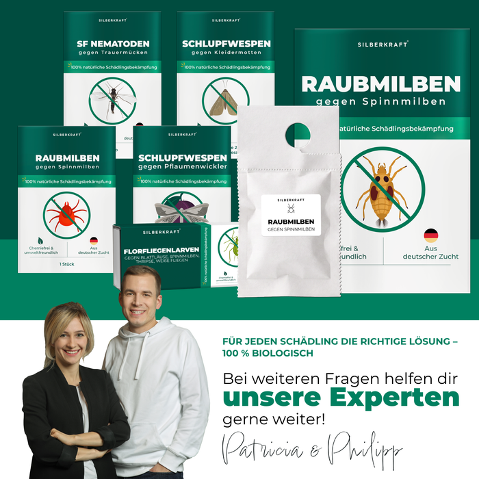 Silberkraft Nützlings-Sortiment – bei Fragen helfen unsere Experten Patricia & Philipp