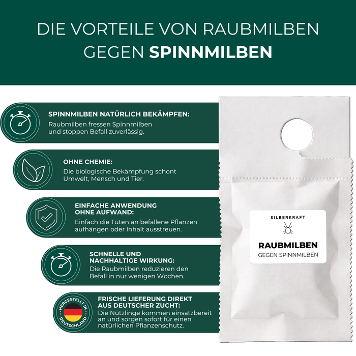 Die Vorteile von Raubmilben gegen Spinnmilben: natürlich, ohne Chemie, einfache Anwendung