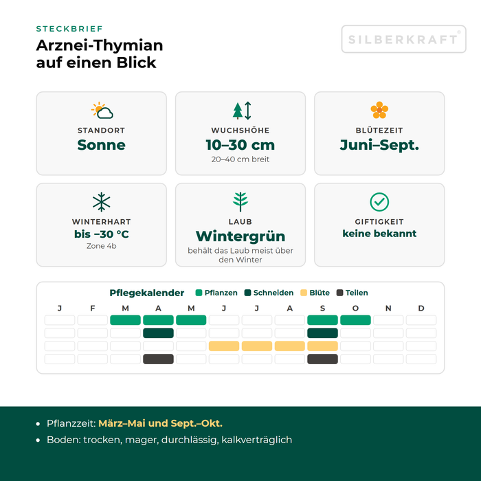 Steckbrief Arznei-Thymian (Thymus pulegioides) mit Standort, Wuchshöhe, Winterhärte, Giftigkeit und Pflegekalender
