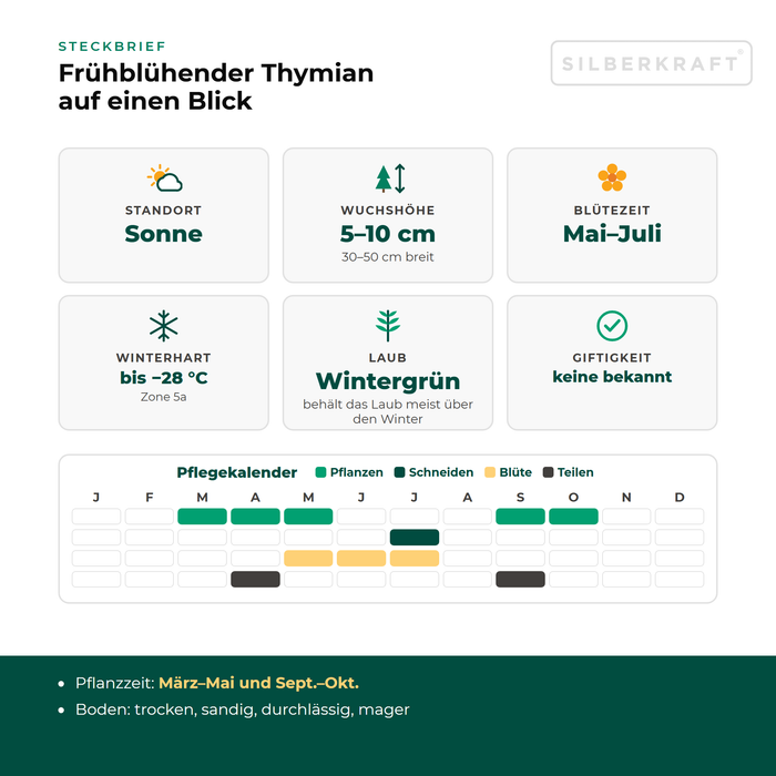 Steckbrief Frühblühender Thymian (Thymus praecox) mit Standort, Wuchshöhe, Winterhärte, Giftigkeit und Pflegekalender