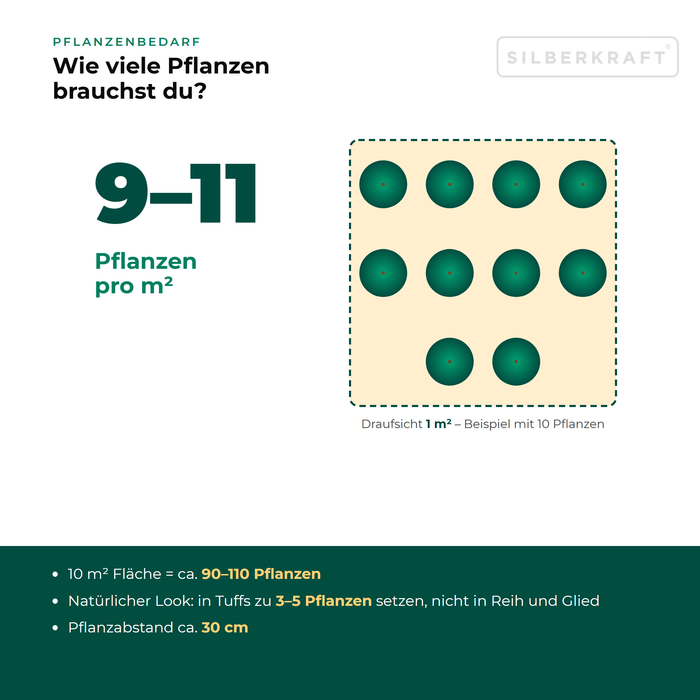 Pflanzenbedarf Frühlings-Platterbse (Lathyrus vernus): 9–11 Pflanzen pro m², 10 m² Fläche = ca. 90–110 Pflanzen