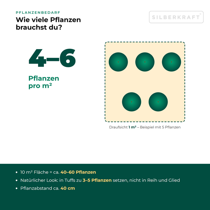 Pflanzenbedarf Gewöhnlicher Blutweiderich (Lythrum salicaria): 4–6 Pflanzen pro m², 10 m² Fläche = ca. 40–60 Pflanzen