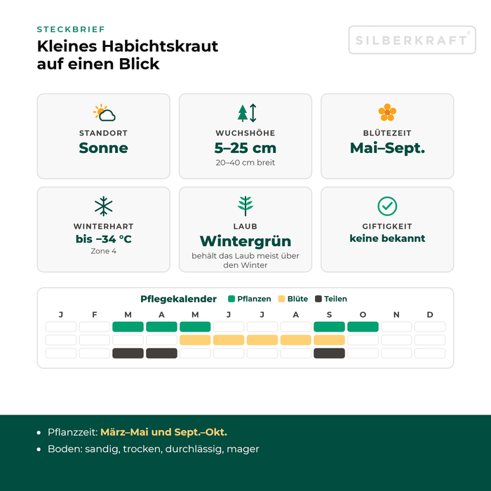 Steckbrief Kleines Habichtskraut (Hieracium pilosella) mit Standort, Wuchshöhe, Winterhärte, Giftigkeit und Pflegekalender